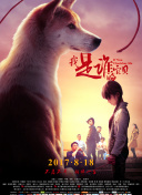 生死簿：如何在游戏中获得更多资源